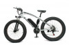 Sturdy Bikes Electric Fat Bike 10.5 Ah