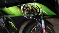 Black/green - Special Edition Yamaha YZF R15 V2