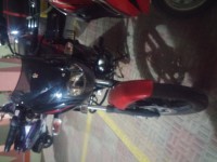 Cocktail Wine Red Bajaj Pulsar 150 DTSi