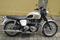 White And Gold Triumph Bonneville T100