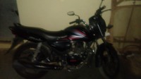 Black Honda CB Shine