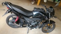 Black Honda Livo 110