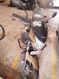 Golden Grey Honda Unicorn Dazzler