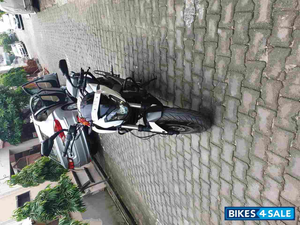 White - Black Bajaj Dominar 400 Disc