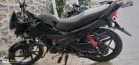 Black Honda Livo 110