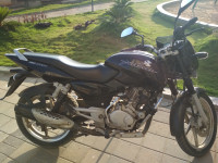 Bajaj Pulsar 150 DTSi 2008 Model