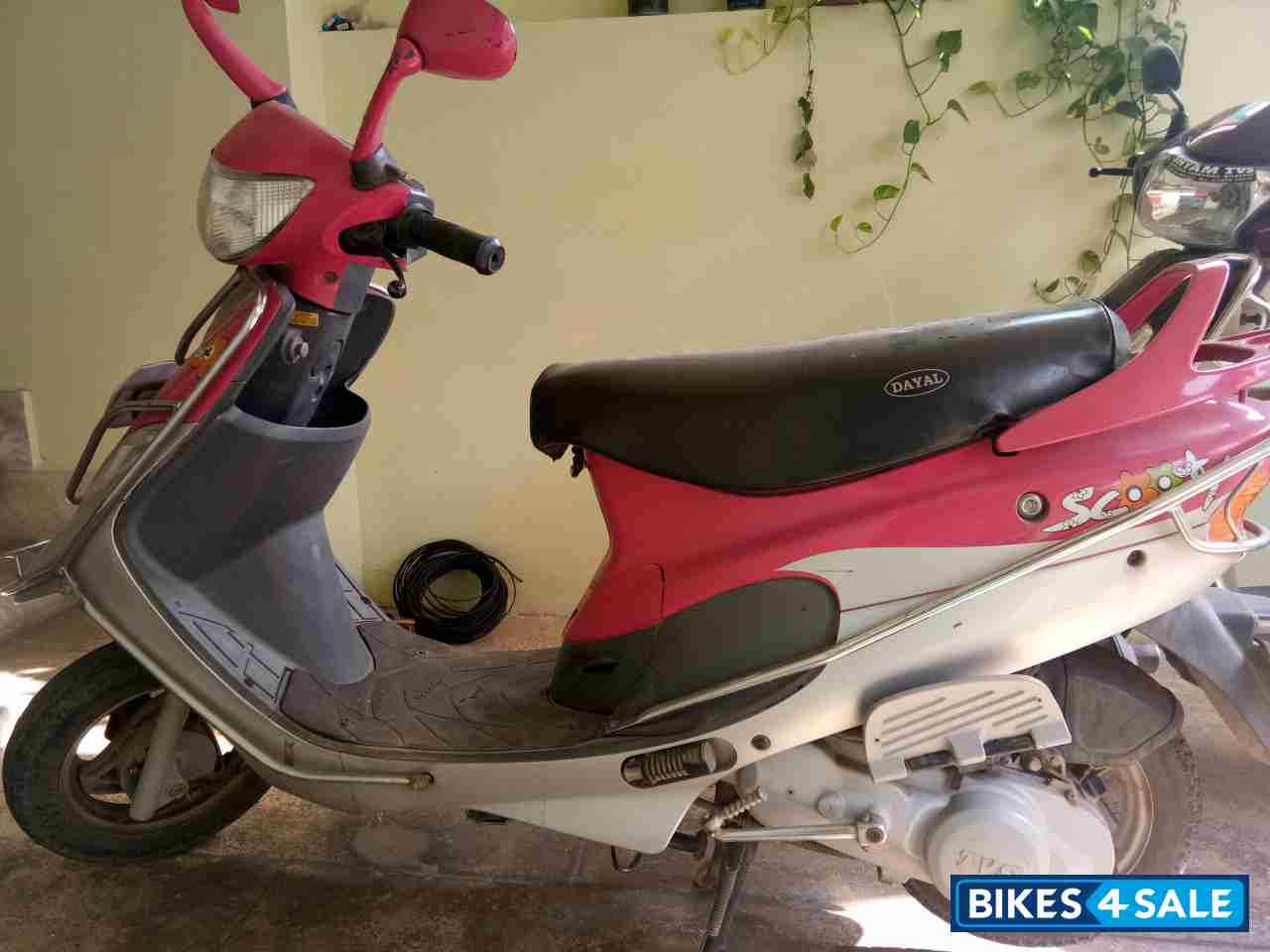 Used 2013 model TVS Scooty Pep Plus for sale in Bilaspur ...