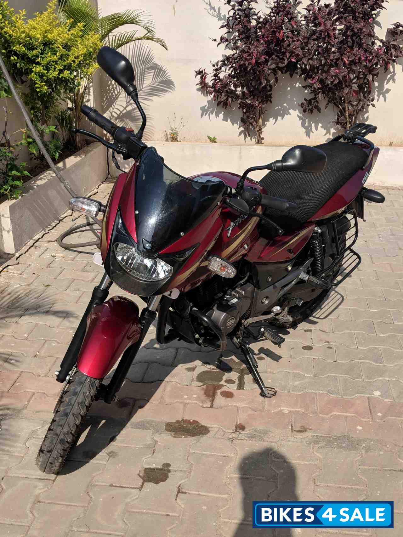 pulsar 150 full head price