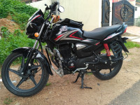 Honda CB Shine Limited Edition