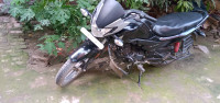 Black Honda Livo 110