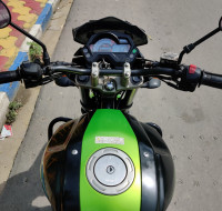 Parrot Green Yamaha FZ-S