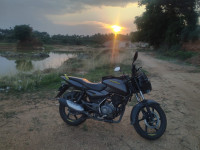 Bajaj Pulsar 150 Neon 2019 Model