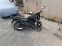 Black Honda Livo 110