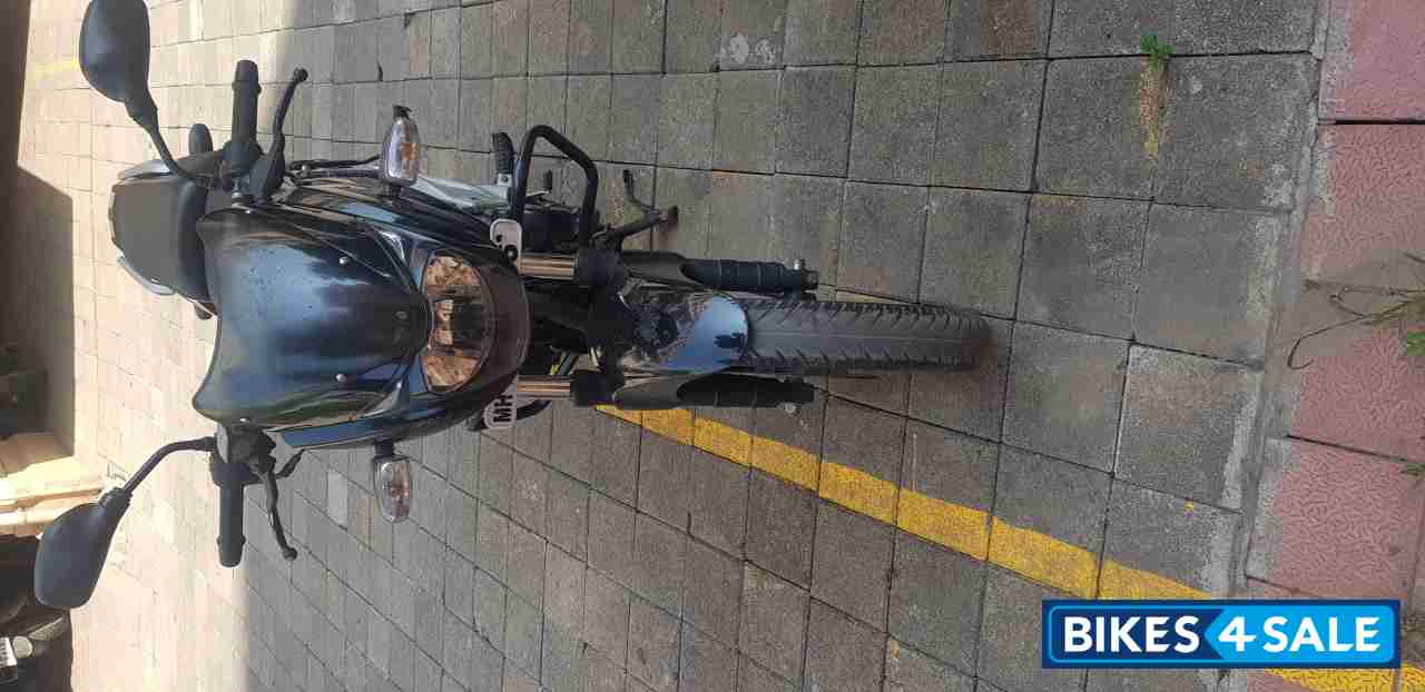Midnight Black Bajaj Pulsar 180 DTSi Midnight Black Bajaj Pulsar 180 DTSi