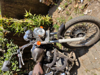 Olive Green Royal Enfield Thunderbird