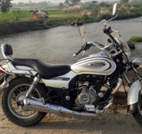 White Bajaj Avenger Cruise 220 BS6