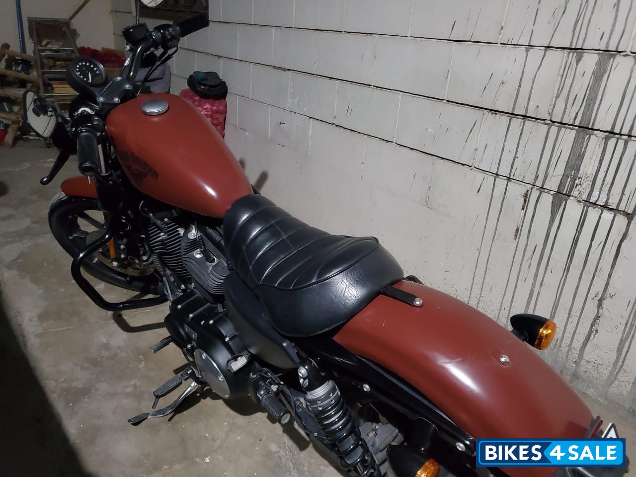 Brown Harley Davidson Iron 883 Brown Harley Davidson Iron 883