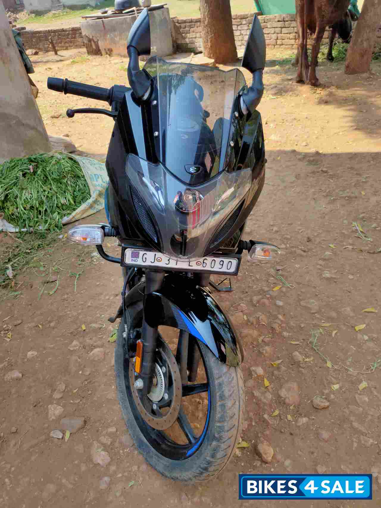 Bule Balck Bajaj Pulsar 220F BS6