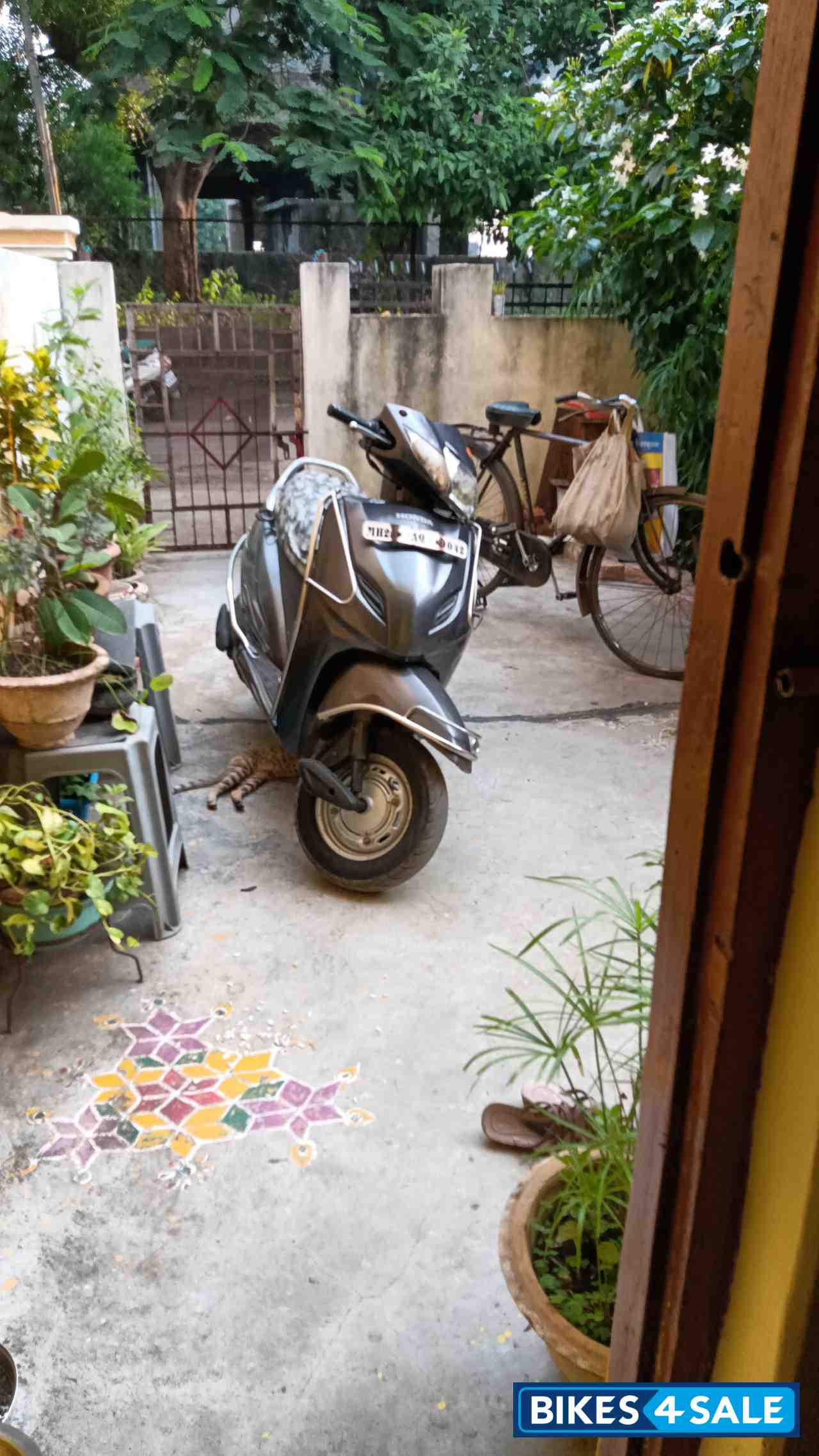 Honda Activa 3G