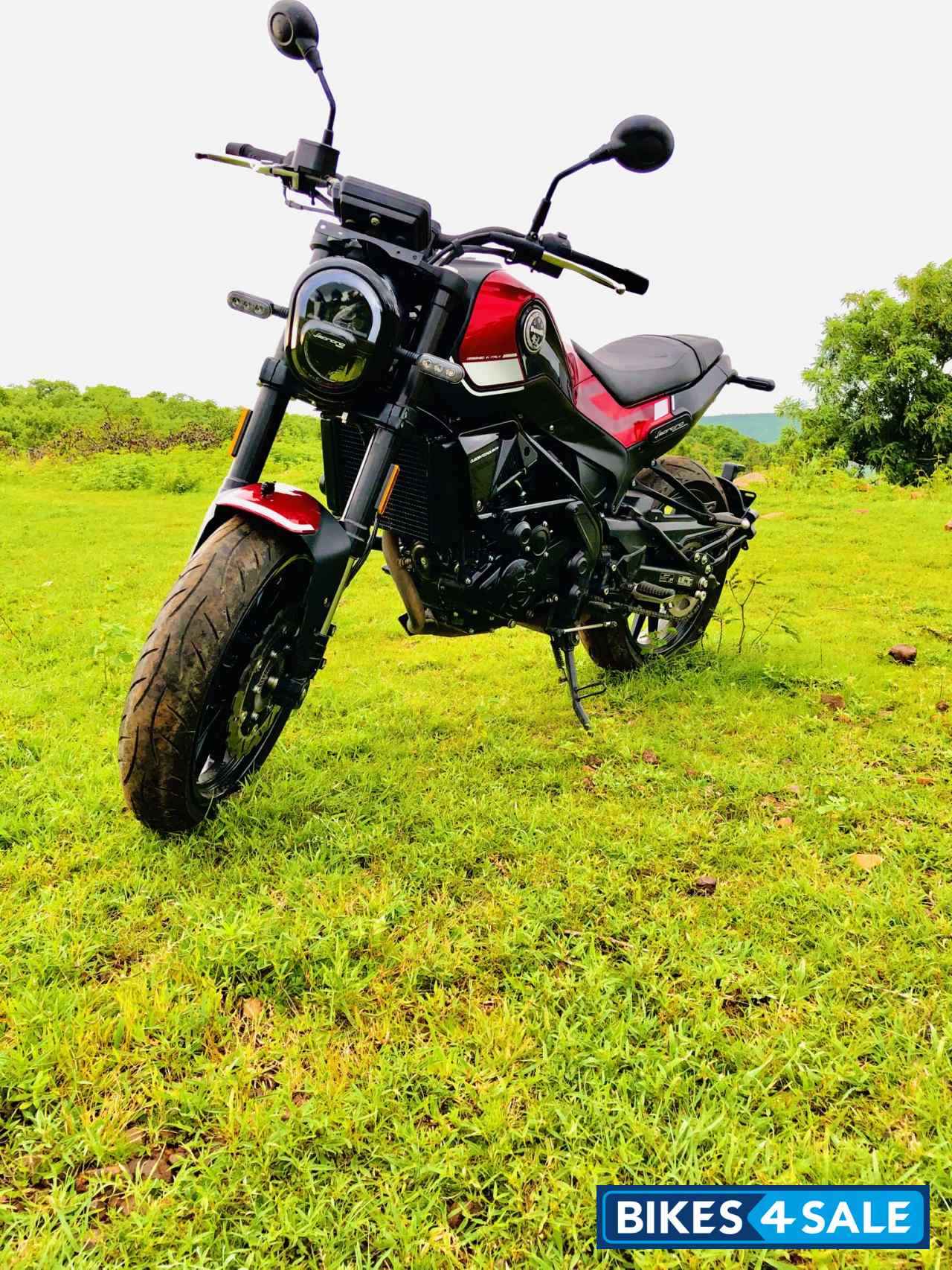 Benelli Leoncino 250