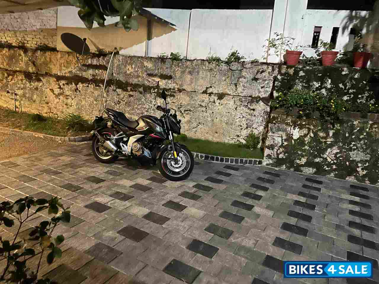 Bajaj Pulsar N250 Bajaj Pulsar N250