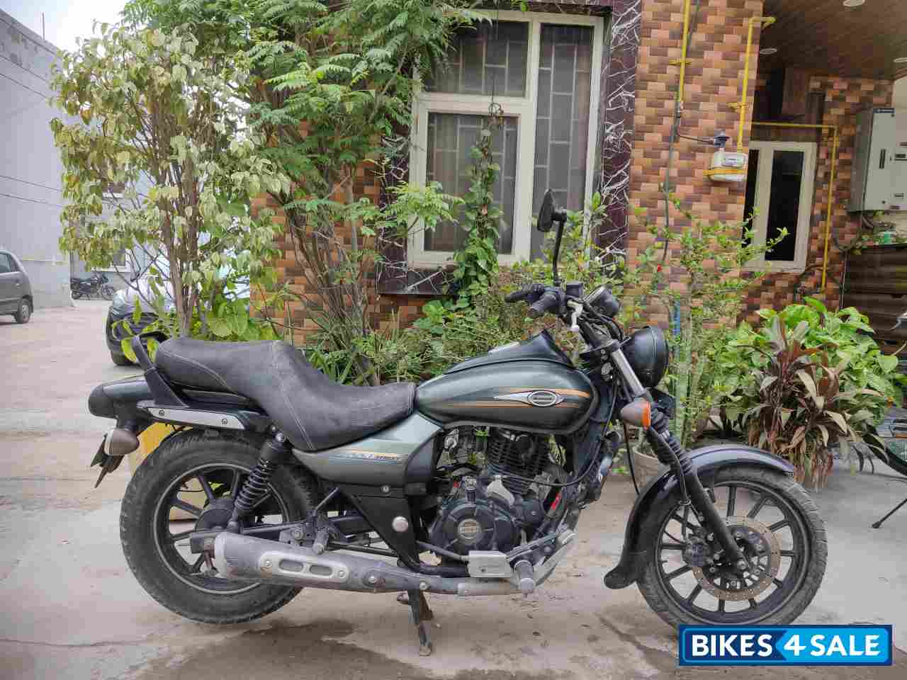 Olive Green Bajaj Avenger Street 220