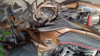 Metalic Brown Honda Livo 110