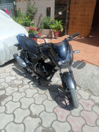 Bajaj Pulsar 125 Neon Disc Single Seat 2019 Model