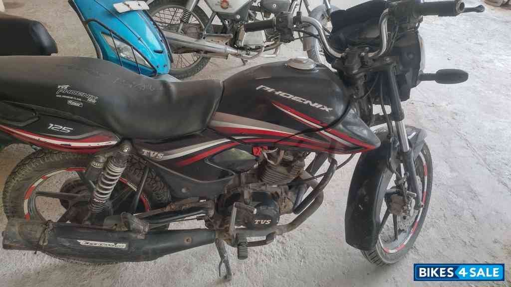 TVS Phoenix TVS Phoenix