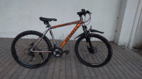 Bicycle Schnell 2018 Model