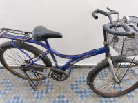 Bicycle Atlas 2010 Model