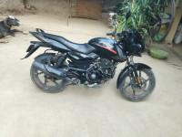 Bajaj Pulsar 125 Neon Disc Single Seat 2022 Model