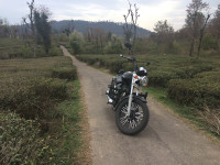 Black Royal Enfield Thunderbird 350