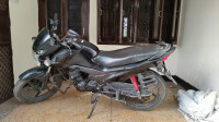 Black Honda Livo 110