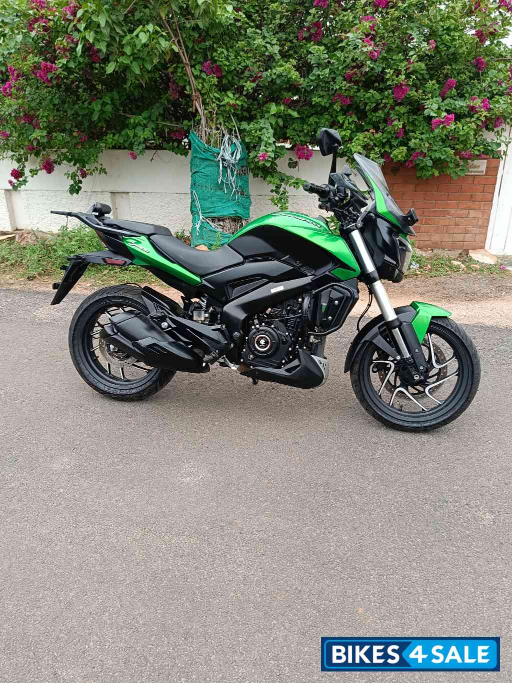 Green Bajaj Dominar 400 ABS BS6