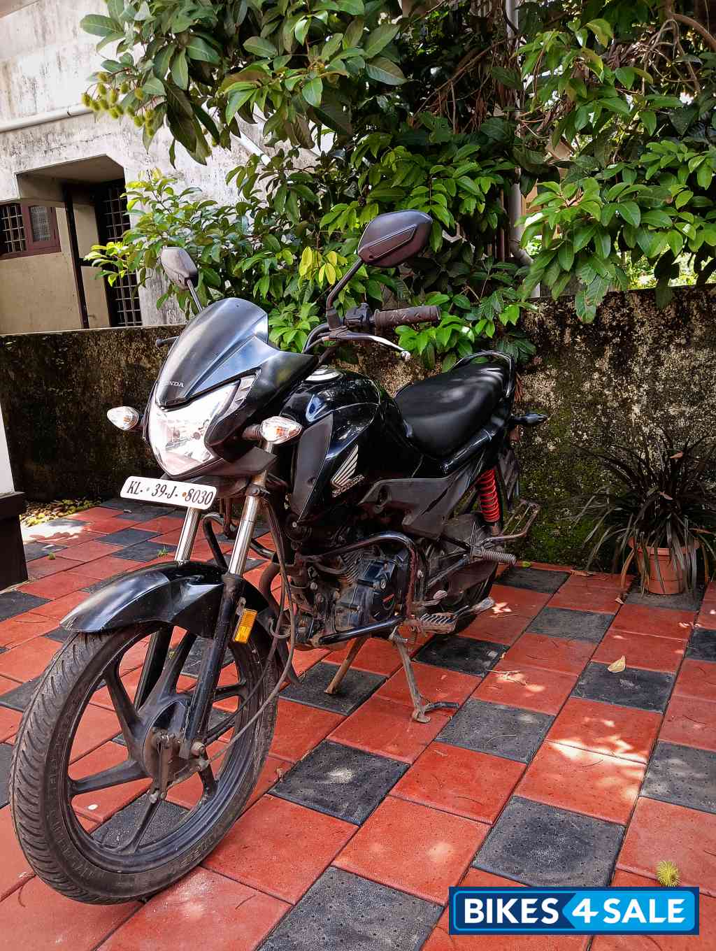 Black Honda Livo 110 Black Honda Livo 110
