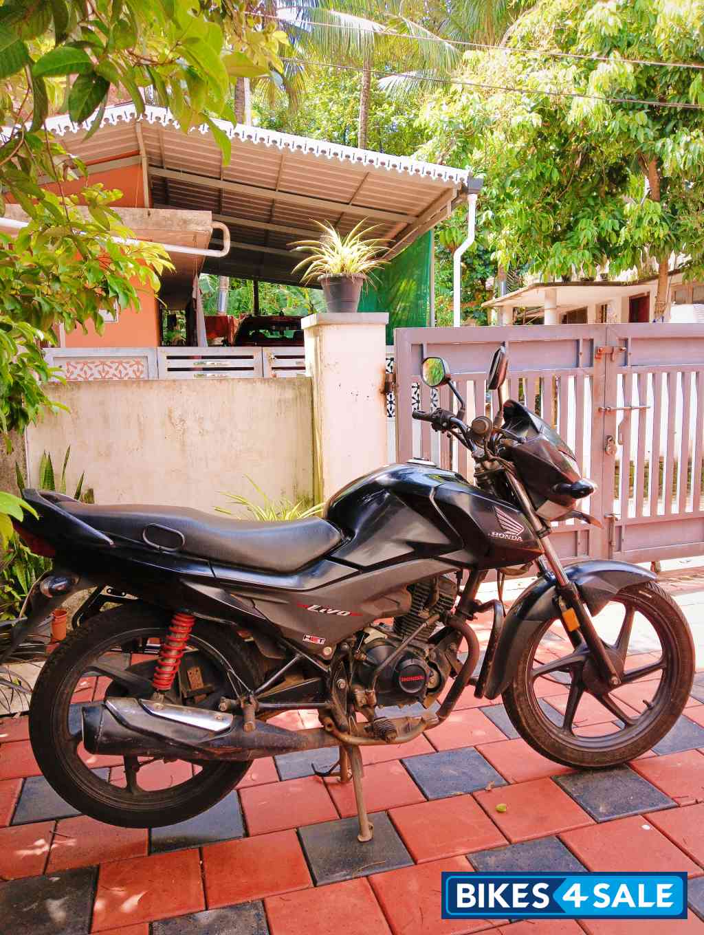 Black Honda Livo 110 Black Honda Livo 110