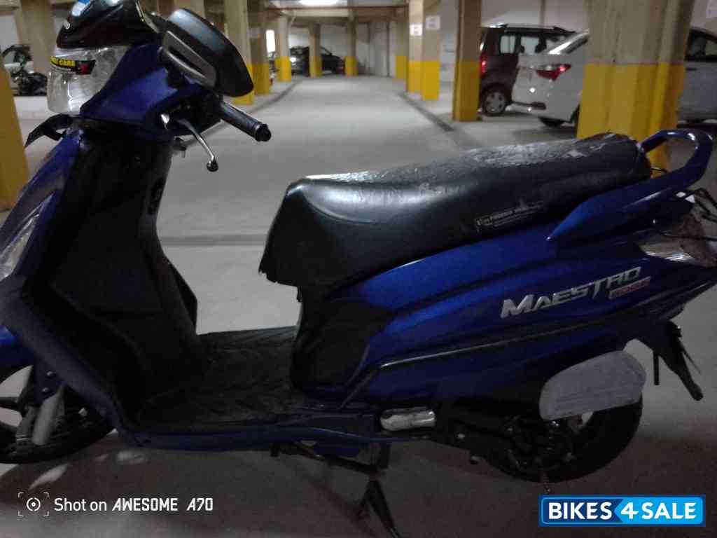 Blue Hero Maestro Edge