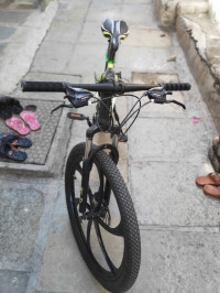 Bicycle  Python Solid 2023 Model