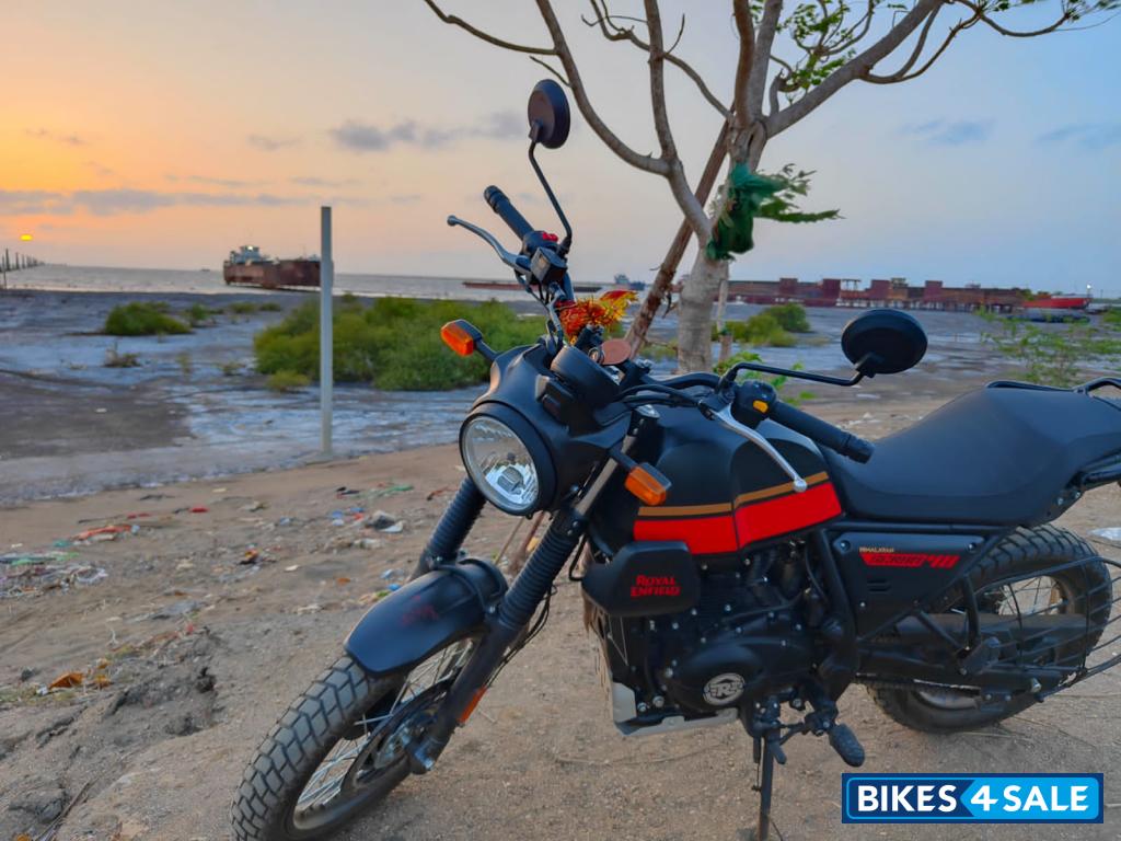 Black Red Royal Enfield Scram 411