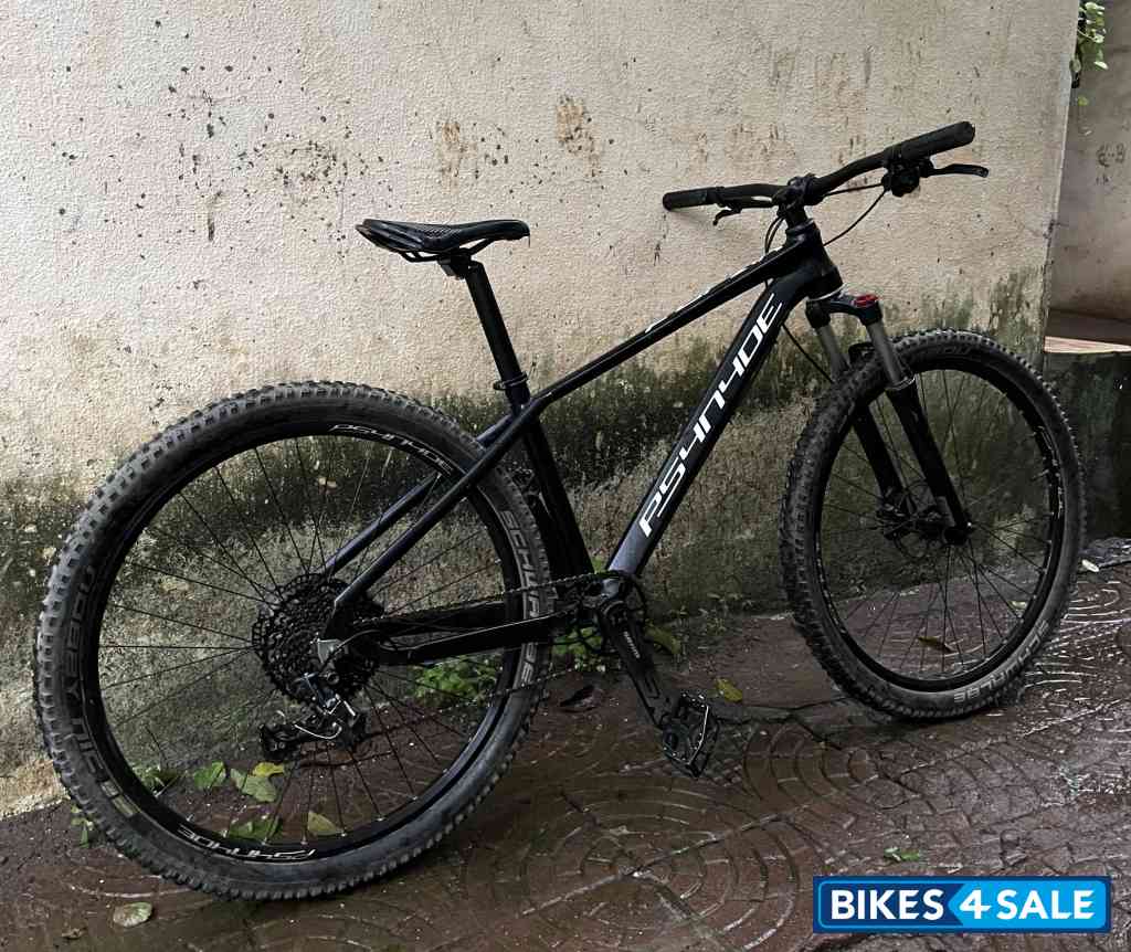 Bicycle Psynyde Furan Bicycle Psynyde Furan