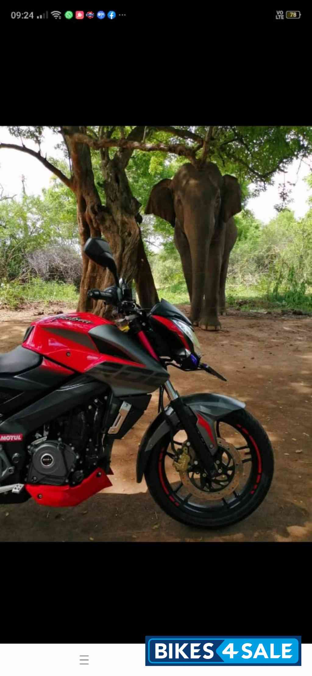 Passion Red Bajaj Pulsar NS200 Passion Red Bajaj Pulsar NS200