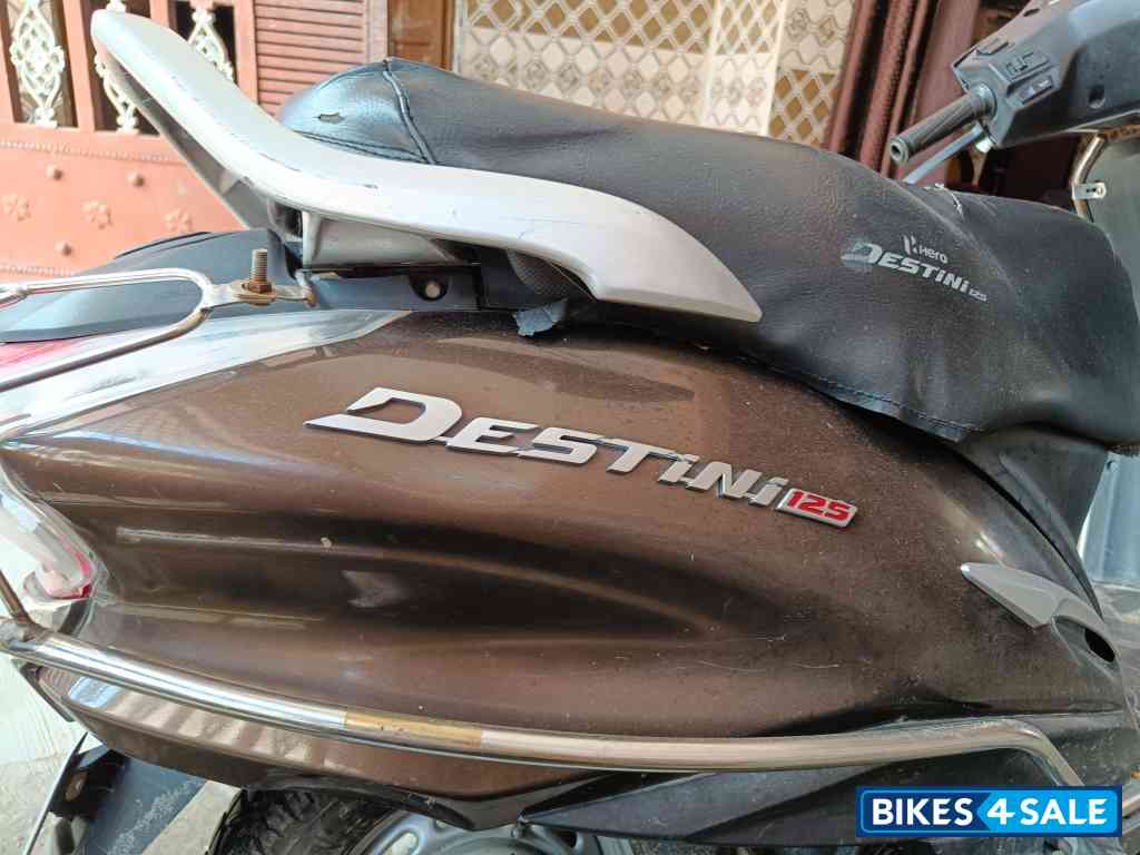 Chestnut Bronze Hero Destini 125 Chestnut Bronze Hero Destini 125