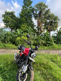 Magma Red TVS Ronin SS