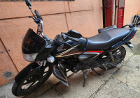 Honda CB Shine 2015 Model