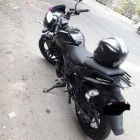 Bajaj Pulsar 150 Twin Disc 2023 Model