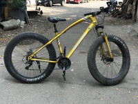 Bicycle  Wake f450 2021 Model