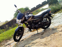 Honda Shine 125 Disc 2011 Model