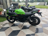 Kawasaki Ninja 300 BS6 2023 2023 Model