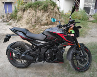 Bajaj Pulsar N250 2024 2024 Model